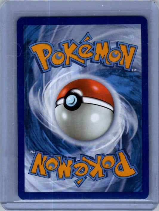 Lucario VSTAR - Promo SWSH: Sword & Shield Promo Cards SWSH291 NM (Back)