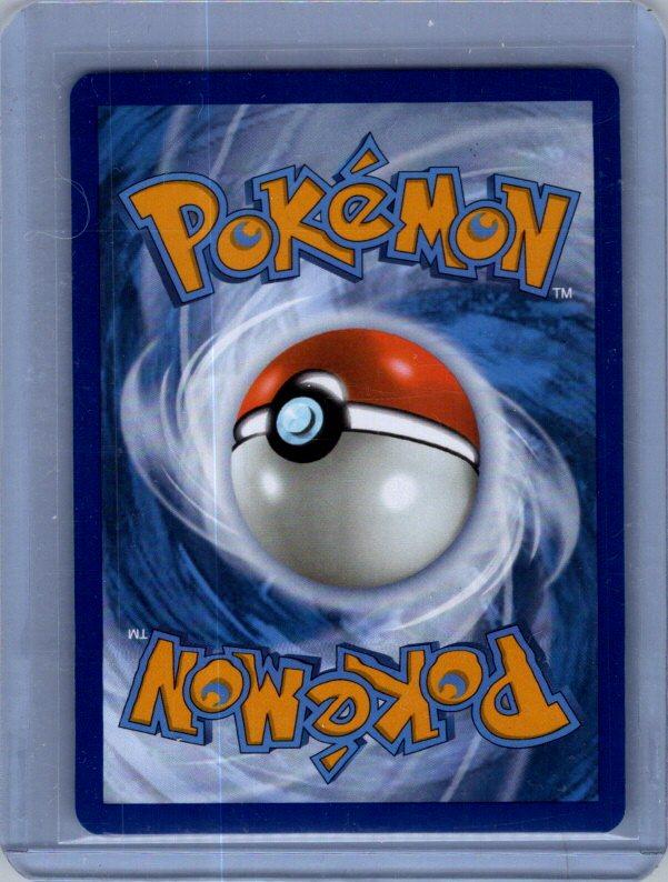 Lucario VSTAR - SWSH: Sword & Shield Promo Cards SWSH291 back scan